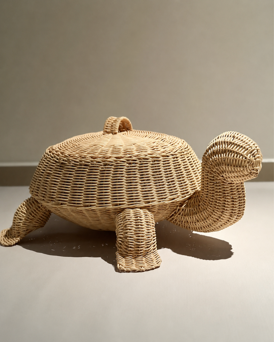 Cesto de Tortuga