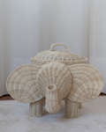 Cesto Elefante Orejón Mediano