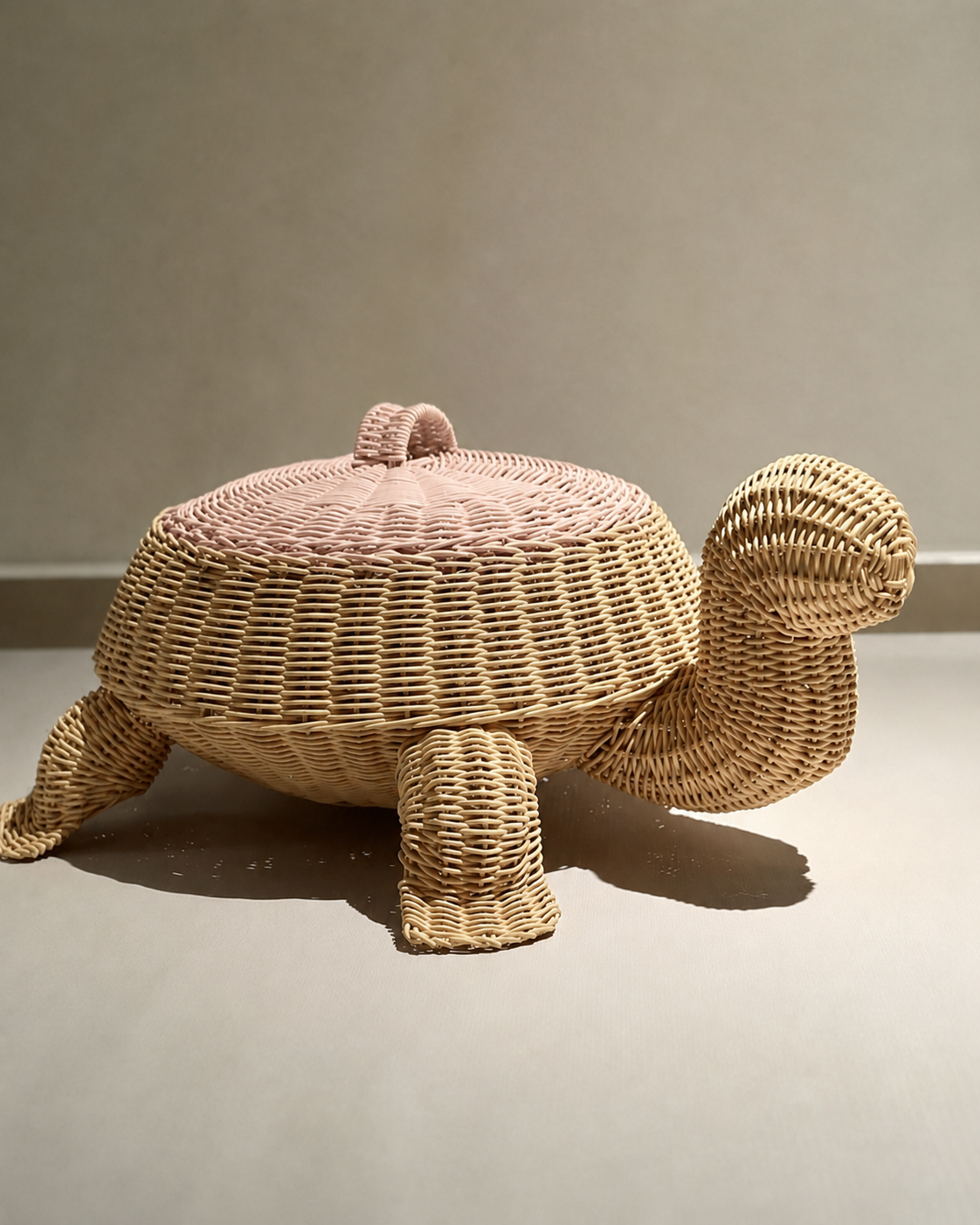 Cesto de Tortuga