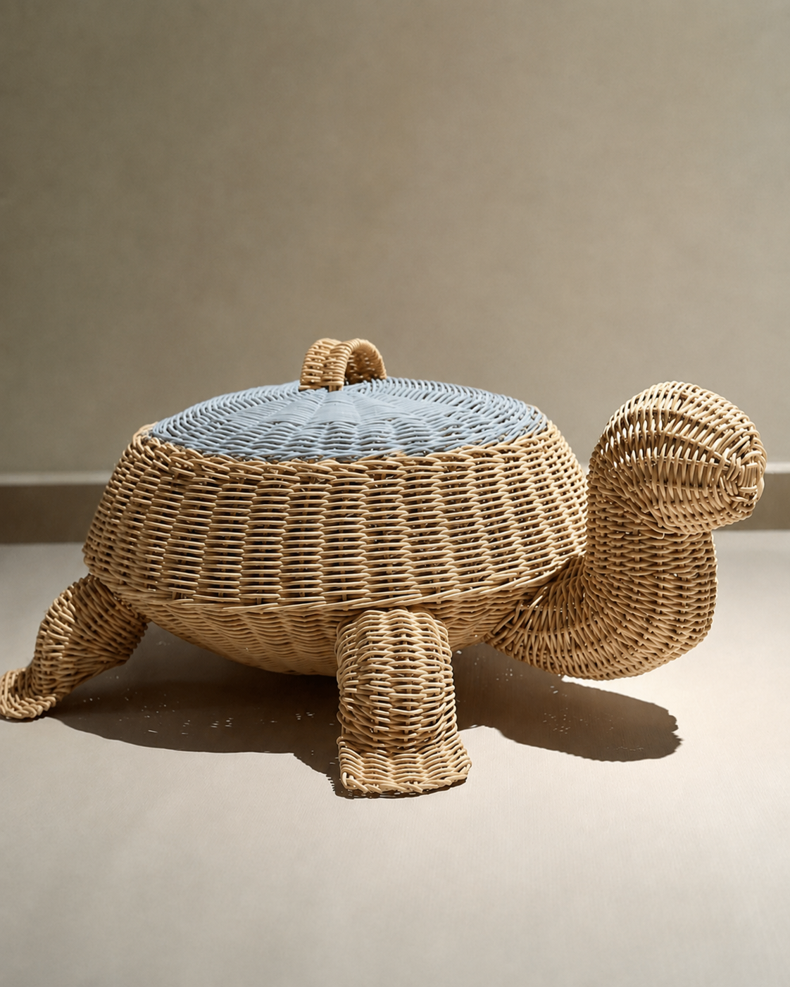 Cesto de Tortuga
