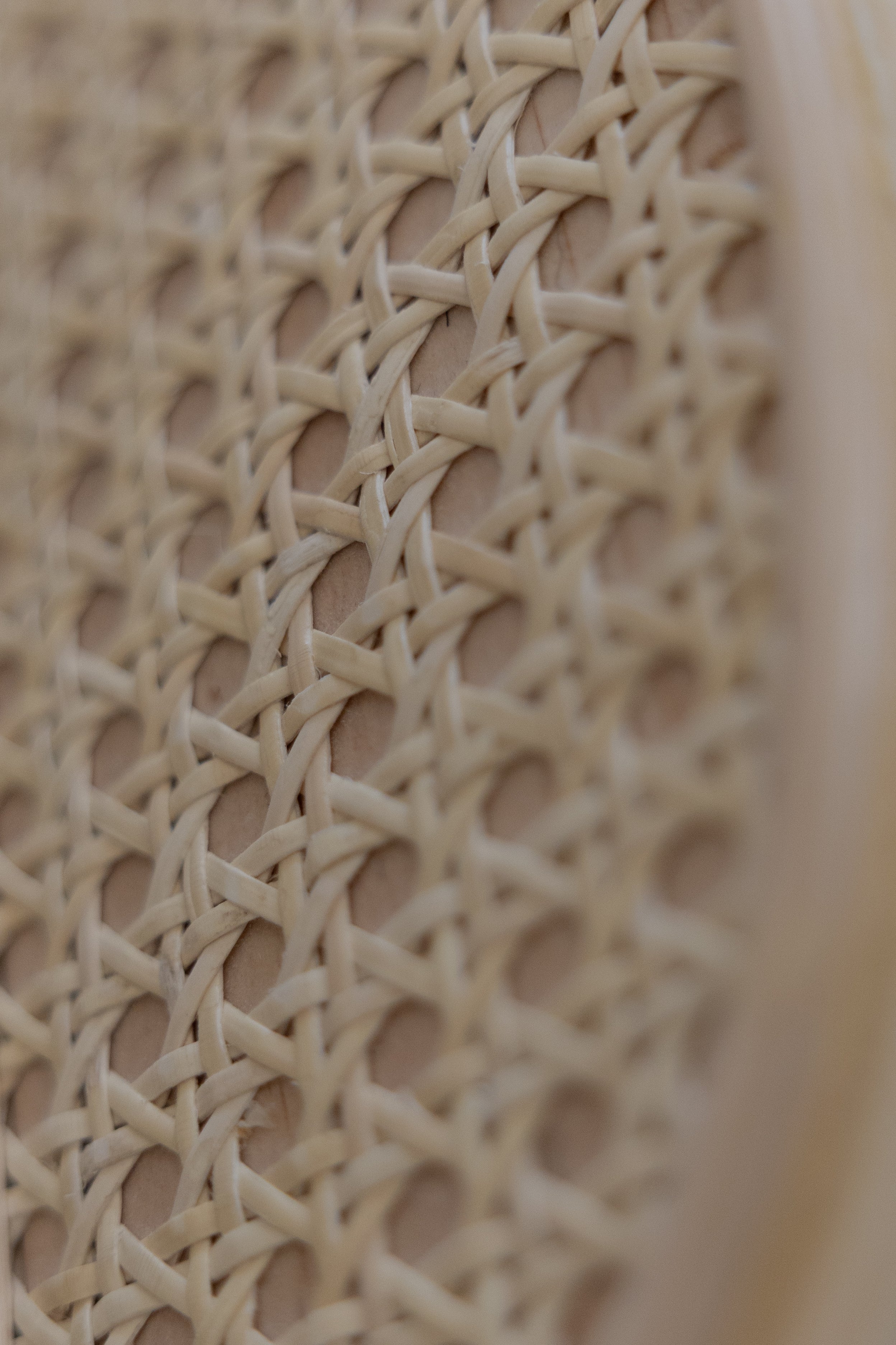 Periquera Rattan