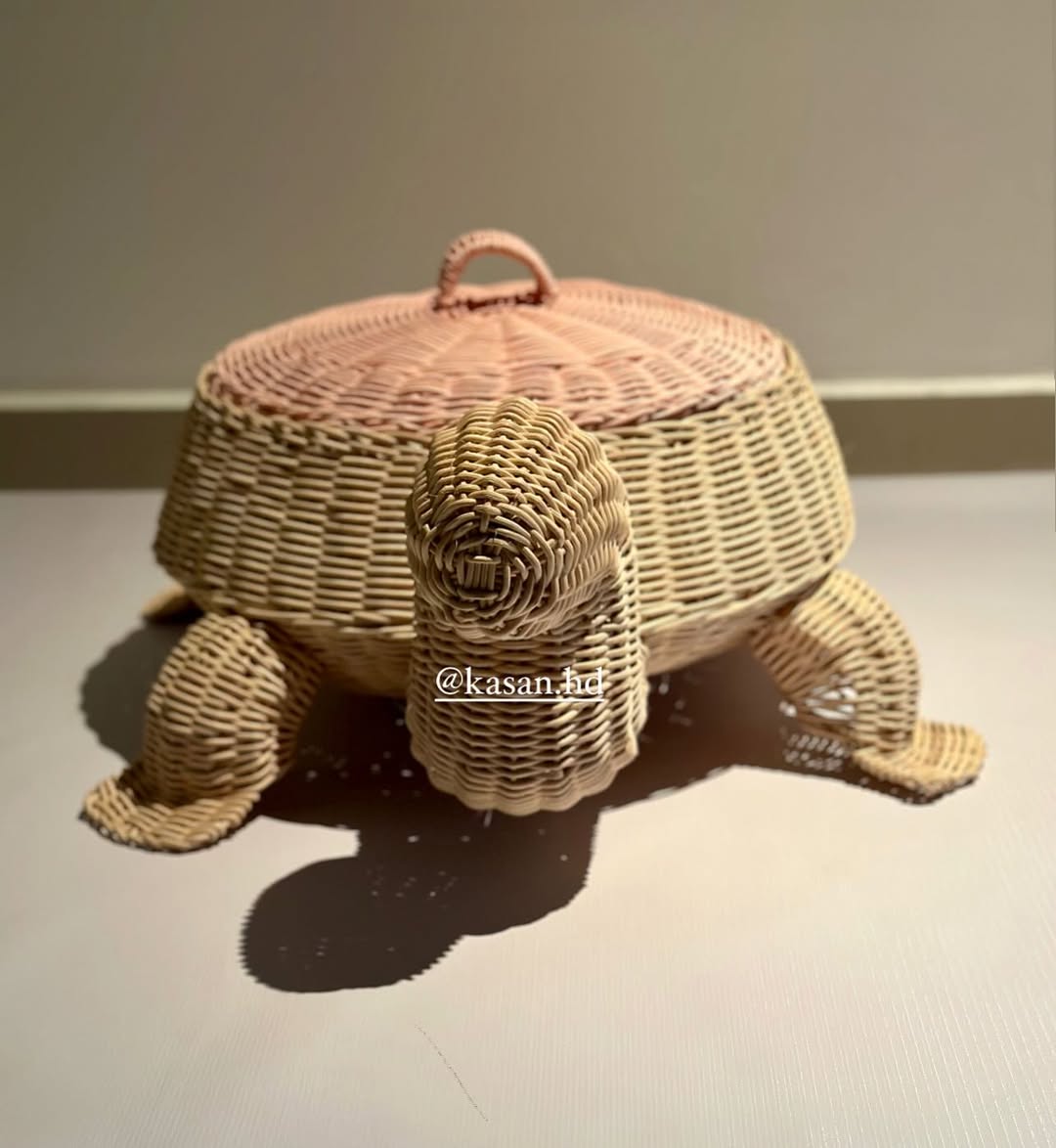 Cesto de Tortuga